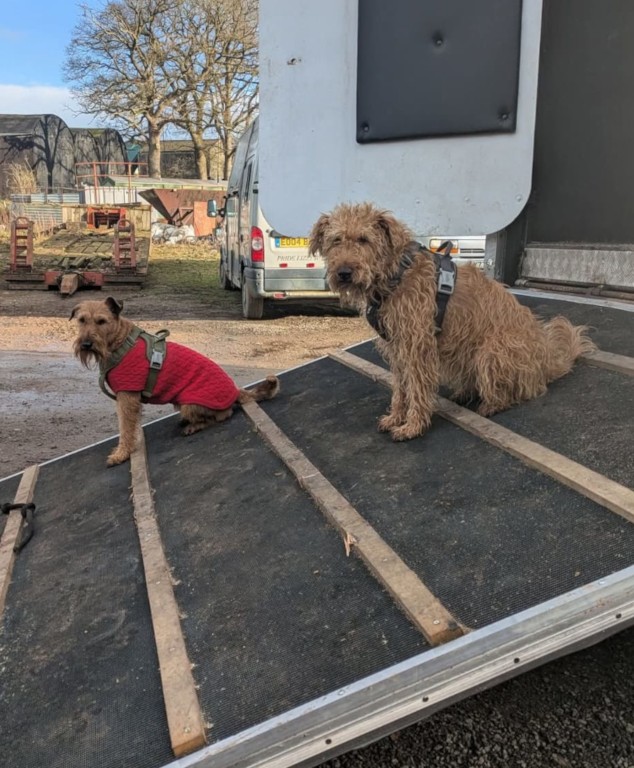 Doris and Maeve- The Horsebox Handyman